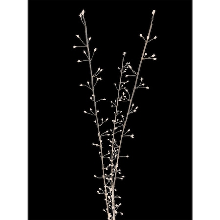 Celebrations Celebrations LED Warm White Lighted Branches 38 in. Yard Decor MICBWTWIG38WWA